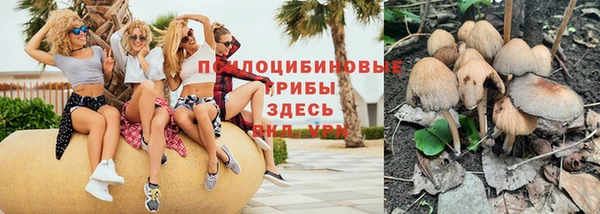 герыч Горняк
