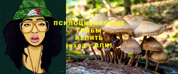 хмурый Вязники