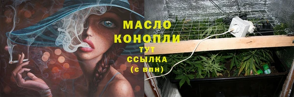 стафф Вяземский