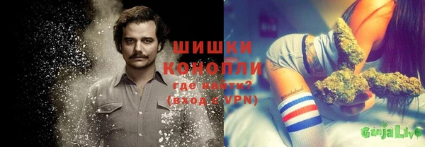 стафф Вяземский