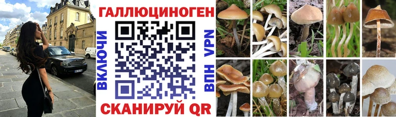 Галлюциногенные грибы Psilocybe  Кодинск 